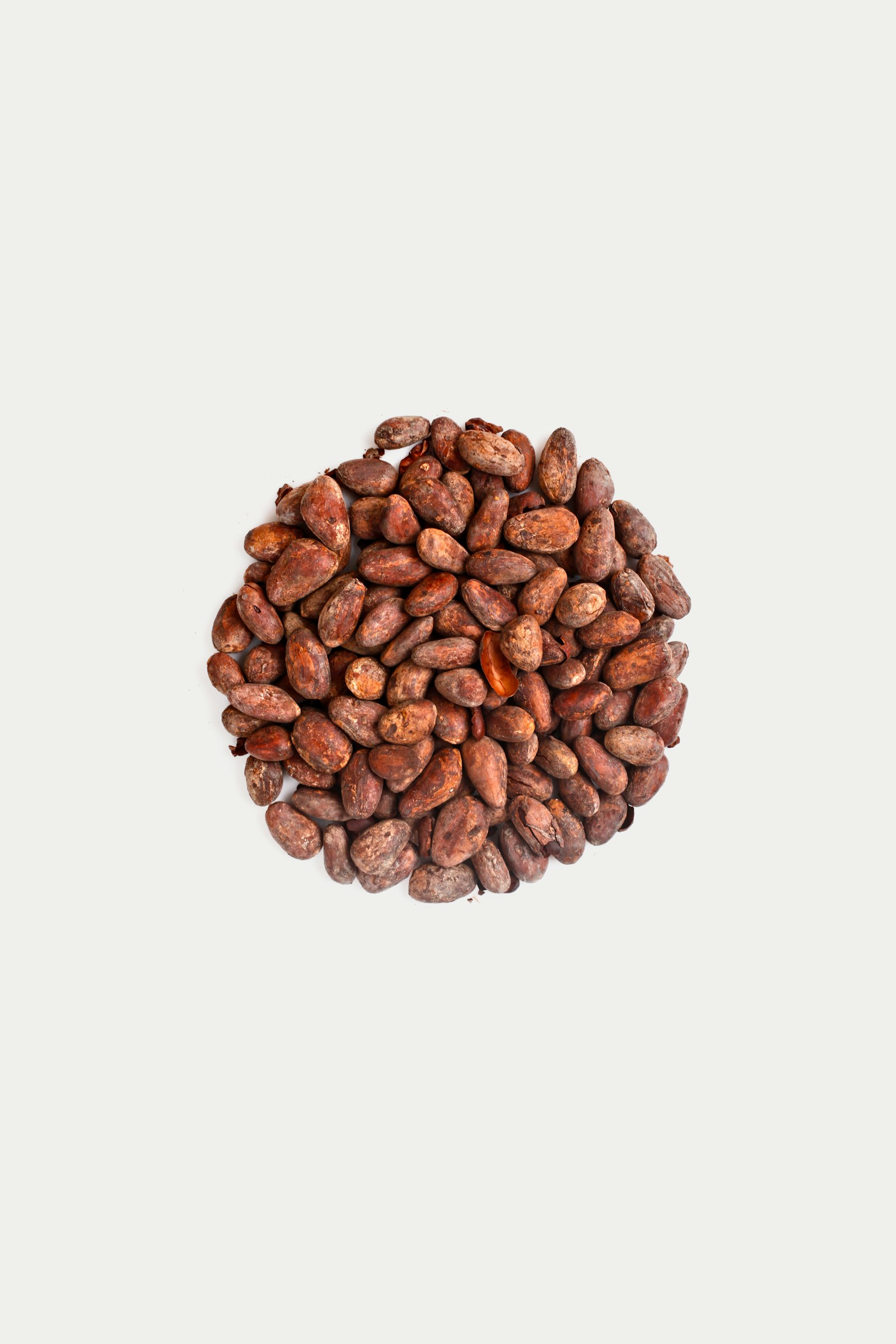 Cacao 2