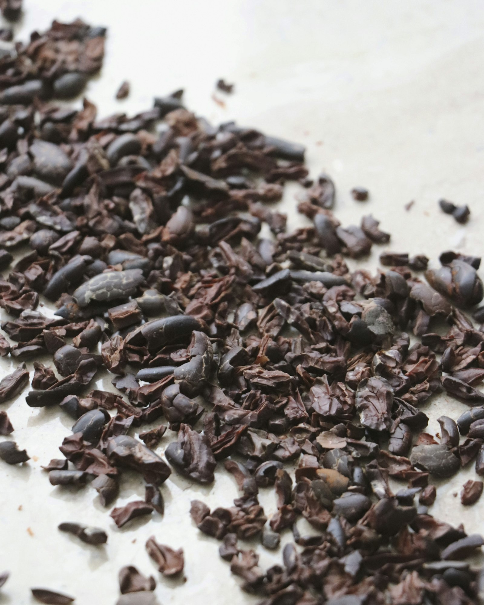 Cacao 3